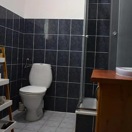 Lesnika Czernica * Mecikal