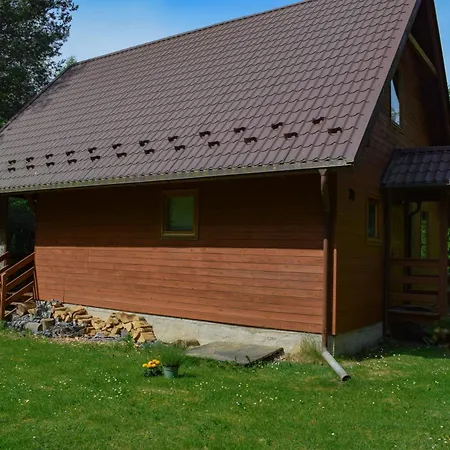 Lesnika Czernica * Mecikal