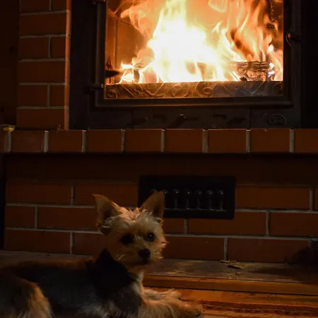 Lesnika Czernica Casa vacanze *