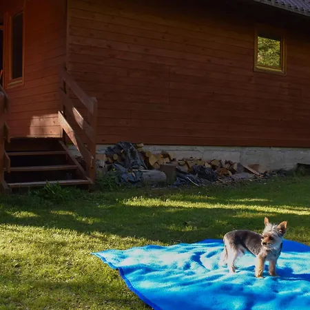 Lesnika Czernica Mecikal