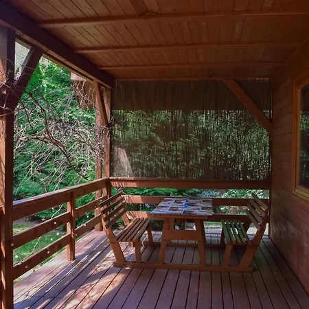 Lesnika Czernica * Mecikal