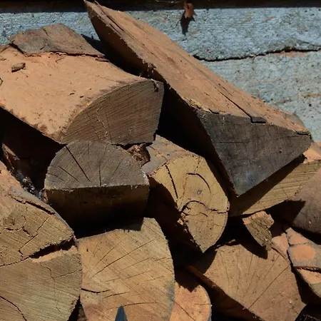 Lesnika Czernica * Mecikal