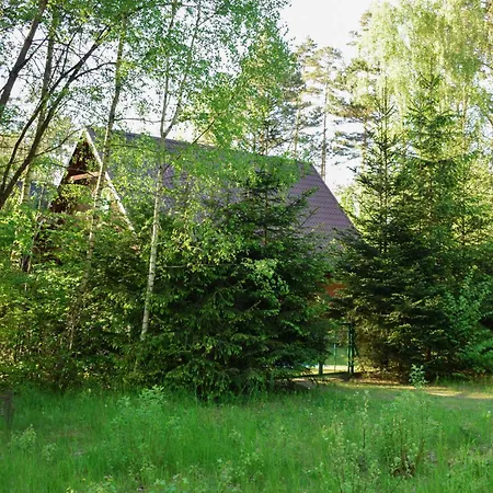 Lesnika Czernica * Mecikal