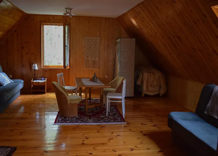 Lesnika Czernica Mecikal