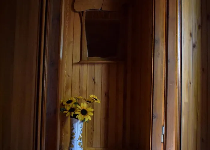 Feriehus Lesnika Czernica *