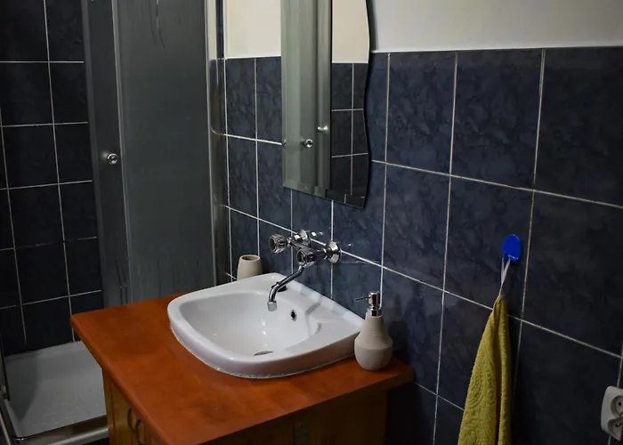 Lesnika Czernica Mecikal