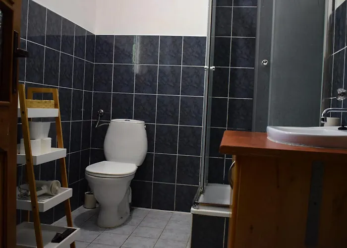 Lesnika Czernica * Mecikal