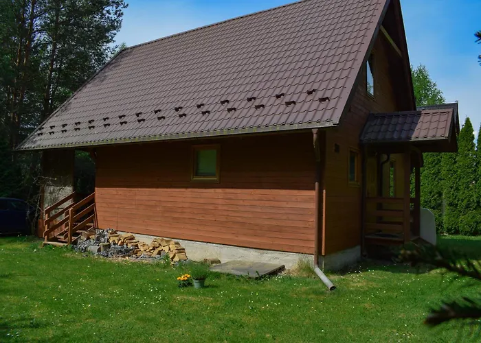 Lesnika Czernica * Mecikal