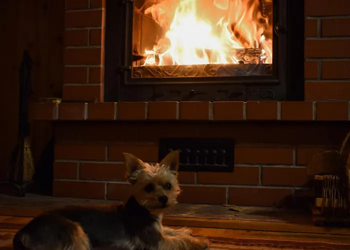 Lesnika Czernica Feriehus *