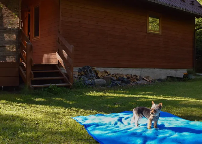 Lesnika Czernica Mecikal