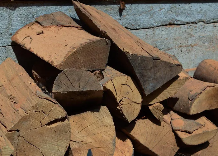 Lesnika Czernica * Mecikal