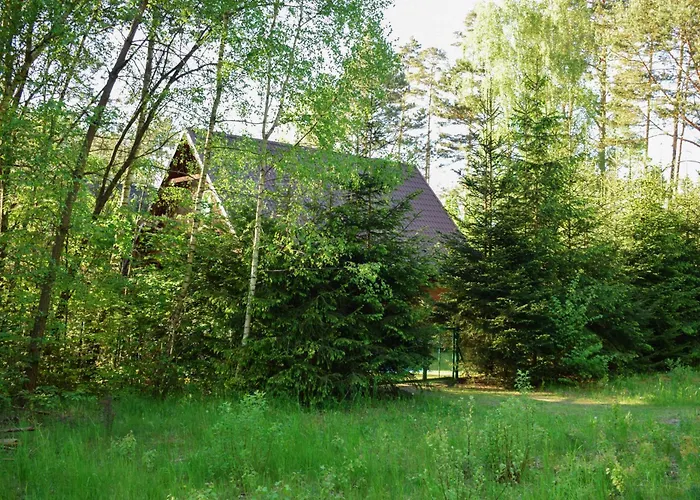 Lesnika Czernica * Mecikal